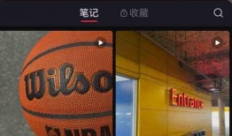 7月3日娱乐爆料视频网,明星动态大揭秘，精彩瞬间一网打尽